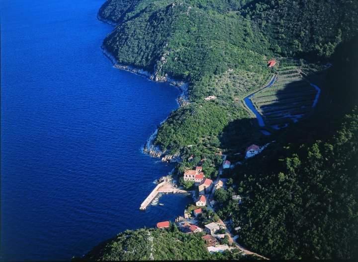 Izabela Apartment With Swimming Pool Babino Polje Dış mekan fotoğraf